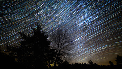 Wall Mural - Star trails above the trees