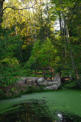 Canvas Print - Vertical shot of a beautiful japanese garden on a sunny day