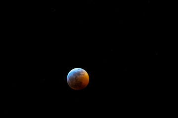 Poster - Beautiful full lunar eclipse against a black background at night