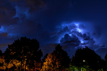 Wall Mural - view of trees under the lightning sky