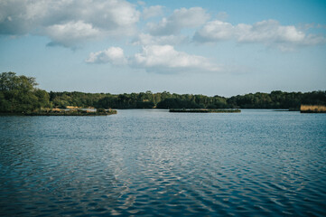 Sticker - Beautiful landscape with water and dense forest against a blue sky with clouds on a sunny day