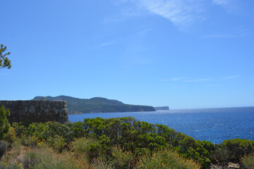 Sticker - Clear blue sky over the sea captured from the coast with green plants on a sunny day in summer