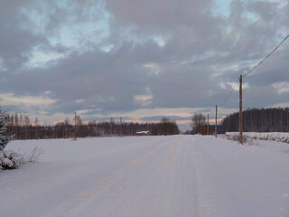 Poster - Winter landscape of snow-covered road along bare trees and electric posts