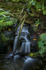 Wall Mural - Vertical shot of a waterfall in a forest surrounded by lush nature