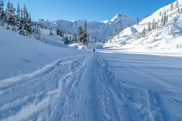 Sticker - Scenic view of a trail on the snowy ground in a forest