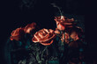 Leinwandbild Motiv Closeup shot of a fresh roses bouquet on a dark background