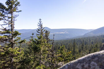 Sticker - Aerial shot of hills covered in pine forests under blue sky