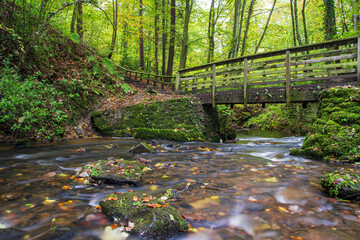 Sticker - Beautiful landscape of a calm river under an old wooden bridge surrounded with trees in the forest