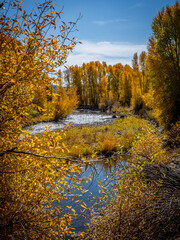 Wall Mural - Beautiful view of a lake with autumn trees in a forest