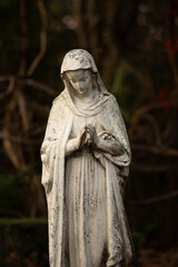 Canvas Print - Eerie scenery of a stained statue of a saint in a garden