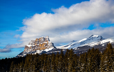 Poster - Tranquil scenery of a majestic snowy mountain in the woods in daylight