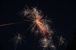 View of colorful gorgeous fireworks in a dark sky
