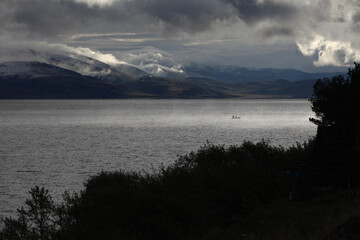 Sticker - Mesmerizing scene of dark silhouetted trees near large blue water against a gray cloudy horizon sky