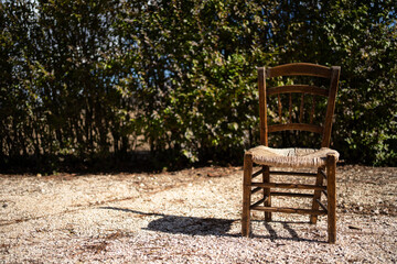 Canvas Print - Single chair in the middle of a forest during the day