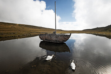 Canvas Print - Swans swimming near to a boat in Austria.