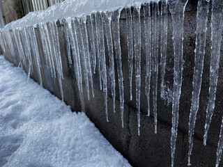 Wall Mural - Closeup of icicles in winter