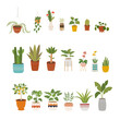 Various home interior plants. Beautifully patterned plant pots. flat design style vector illustration.