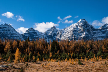 Wall Mural - Beautiful view of snowy mountains in a daylight