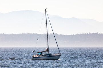 Poster - Beautiful shot of a sailboat under the cloudy skies