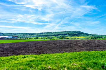 Poster - Beautiful view of a fresh green grass field in Frankfurt, Germany