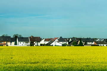 Poster - View of the beautiful field and the small buildings in the background in Frankfurt, Germany