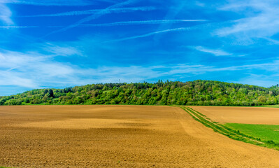 Sticker - Landscape of a harvested farm field under a blue sky and sunlight in Frankfurt, Germany