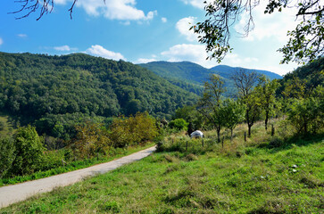 Wall Mural - empty countryside road along with trees on daytime