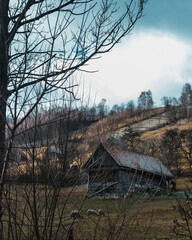 Poster - Vertical shot of countryside houses and a field on the clouds background