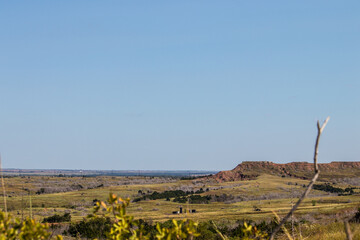 Poster - Scenic view of a green field with blue sky in the background