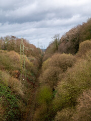 Poster - Vertical shot of electric power lines with insulators on a hill