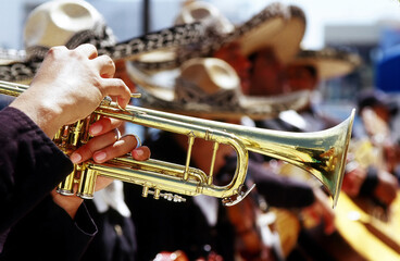 Wall Mural - Musician playing trumpet in a band