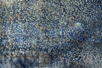 Sticker - Frozen window glass texture background