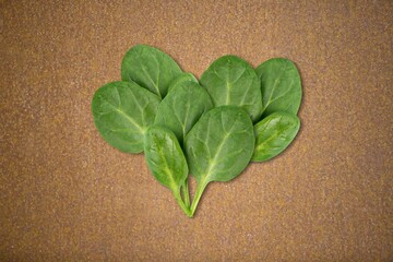 Wall Mural - Green heart on a background. Heart shape in fresh green spinach leaves. Valentine in eco-friendly vegan style.