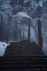 Wall Mural - The snow landscape at Yellow mountain, Anhui province, China.