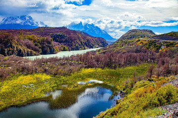 Wall Mural - Magnificent park Torres del Paine