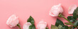 Mother's Day design concept background with pink rose flower on pink background.