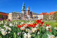 Wawel Castle And Tulip Flowers In Krakow, Poland During Spring.