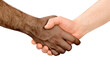 © Ирина Гутыряк - handshake of a white man and an african american on a white isolated background