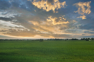 Blue sky with a clouds over green field, Ukraine