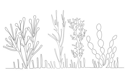 Wall Mural - algae drawing in one continuous line, isolated vector