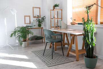 Interior of light office with modern workplace and houseplants