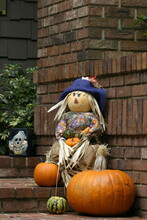 Pumpkins With A Scarecrow Near A Brick Wall