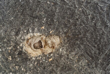 An Old Empty Swallow's Nest. The Swift Is An Abandoned Nest. Clay Nest On The Cave Wall