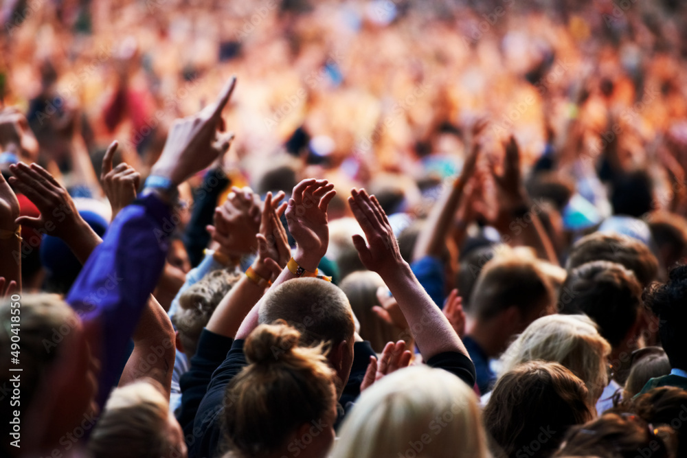 Crowd enjoying music at a festival
