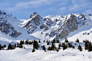 Wall Mural - snow covered mountains in French alps