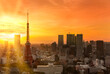 tokyo, japan - february 22 2022: Bird's-eye view depicting a gorgeous orange sunset sky above a commercial cityscape of Tokyo tower with no logo and no brand on the surrounding skyscrapers.