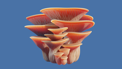 3D render of a stylized bouquet cluster of edible pink oyster mushrooms