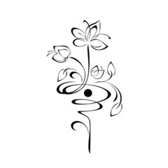 ornament 2237. decorative element with stylized flowers, leaves and swirls in black lines on a white background