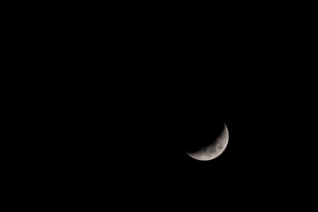 Wall Mural - crescent moon in the dark night sky