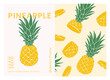 Pineapple Label packaging design templates, Hand drawn style vector illustration.